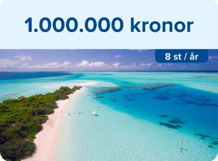Vinst 1 000 000 kr 8 st/år