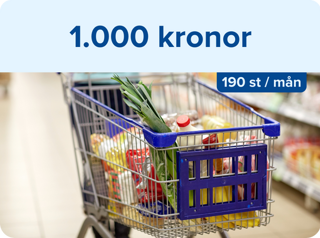 Vinst 1000 kr 190 st/mån